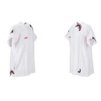 T-shirt regular Sharkpatches new Sprayground